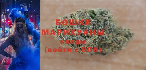 молекула духа Елизово