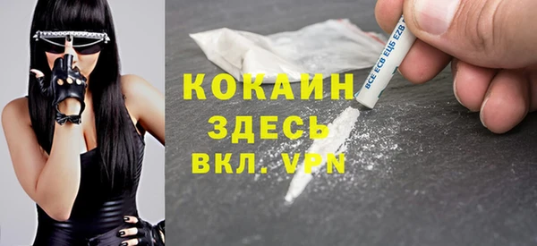 молекула духа Елизово