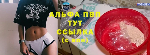 молекула духа Елизово