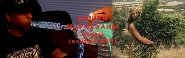 молекула духа Елизово