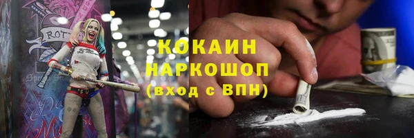 молекула духа Елизово