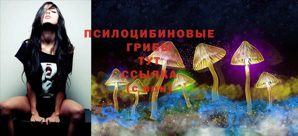 метадон Ельня
