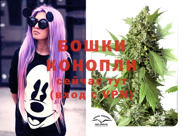 молекула духа Елизово