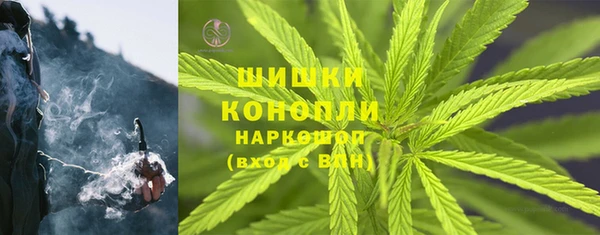 метадон Ельня