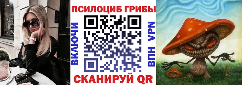 Купить где  Партизанск  Галлюциногенные грибы Magic Shrooms 